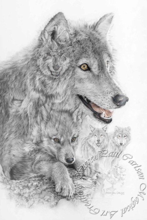 Wolf V color w